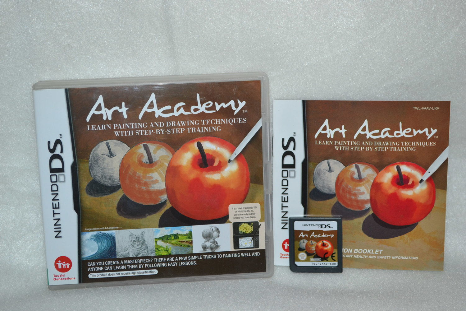 Art Academy Learn Painting and Drawing NDS Nintendo DS Komplett Fint Skick