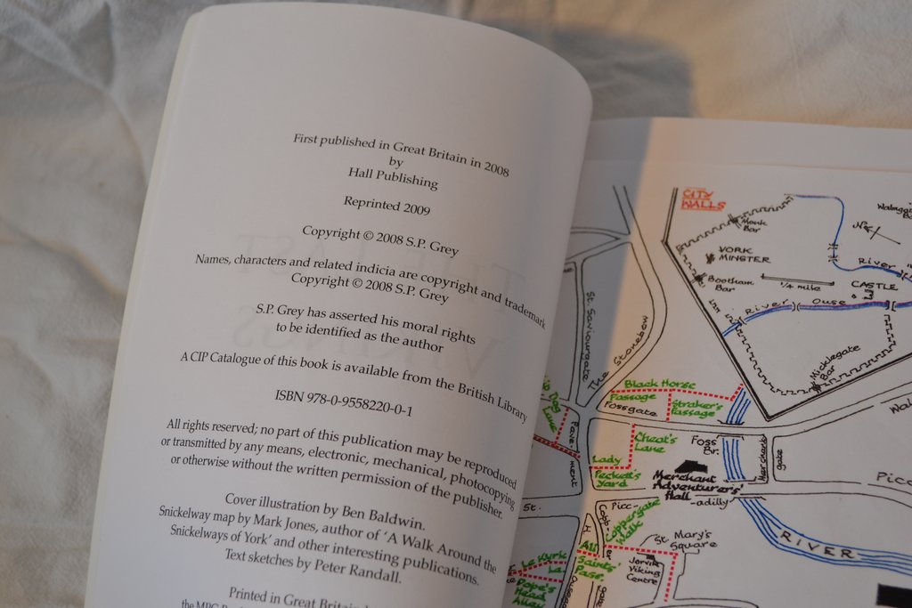 The Last Vikings S.P. Grey 2008/2009 Engelska Fint Skick