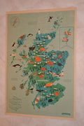 Wildlife of Scotland Storbritannien Djur Lärorik Poster Affisch 30*42cm Ny