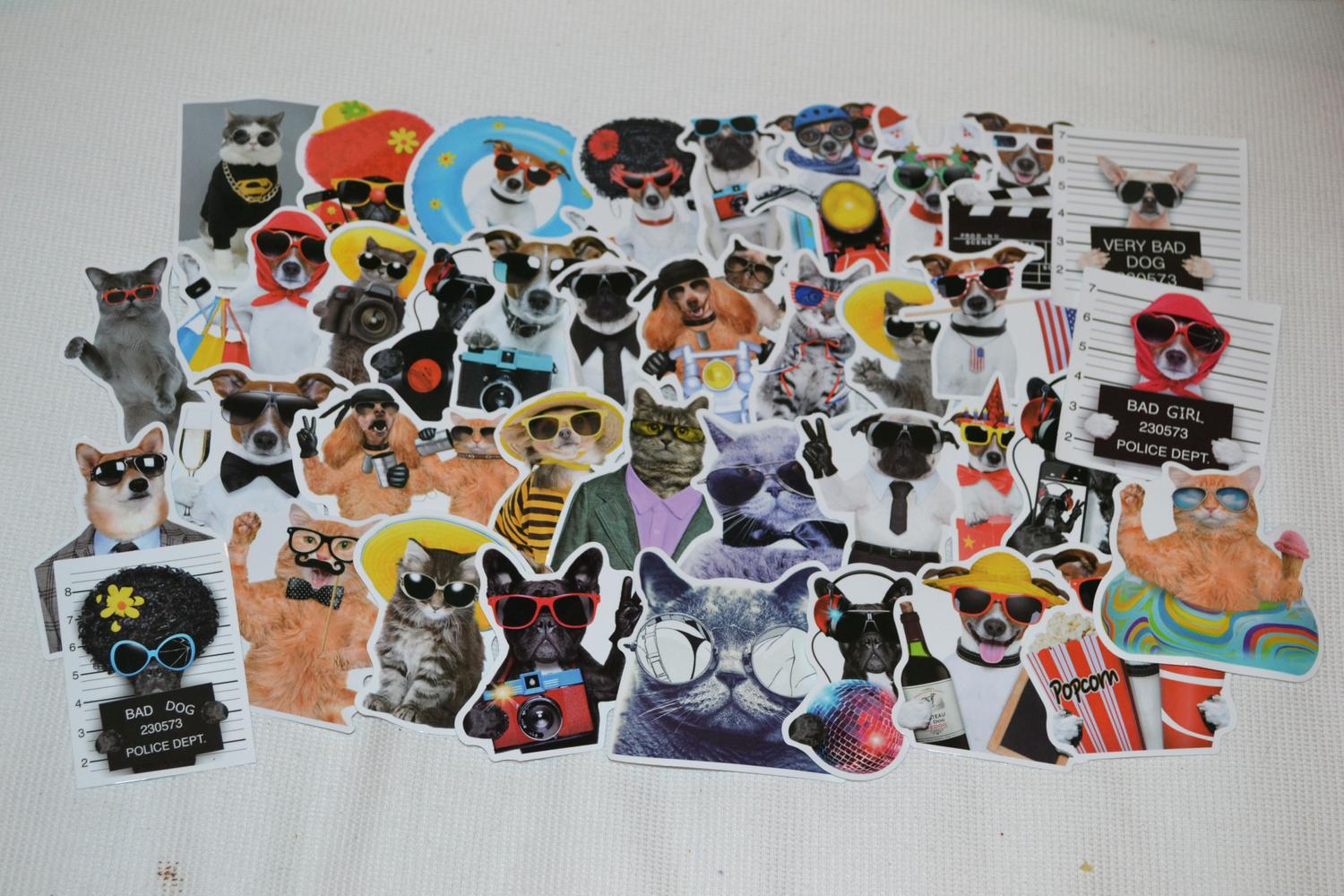 Coola Katter & Hundar Husdjur Solglasögon 50st Klistermärken 8-6cm Ny