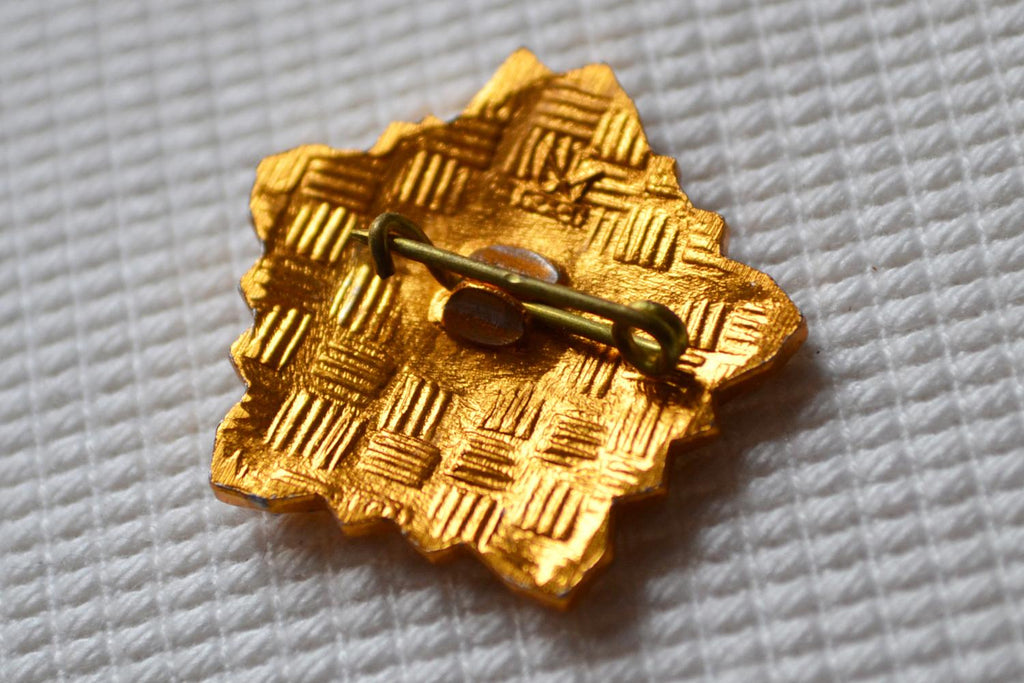 Lenin m. Brinnande Stjärna Klassisk Pin Brosch 2,5cm Ny