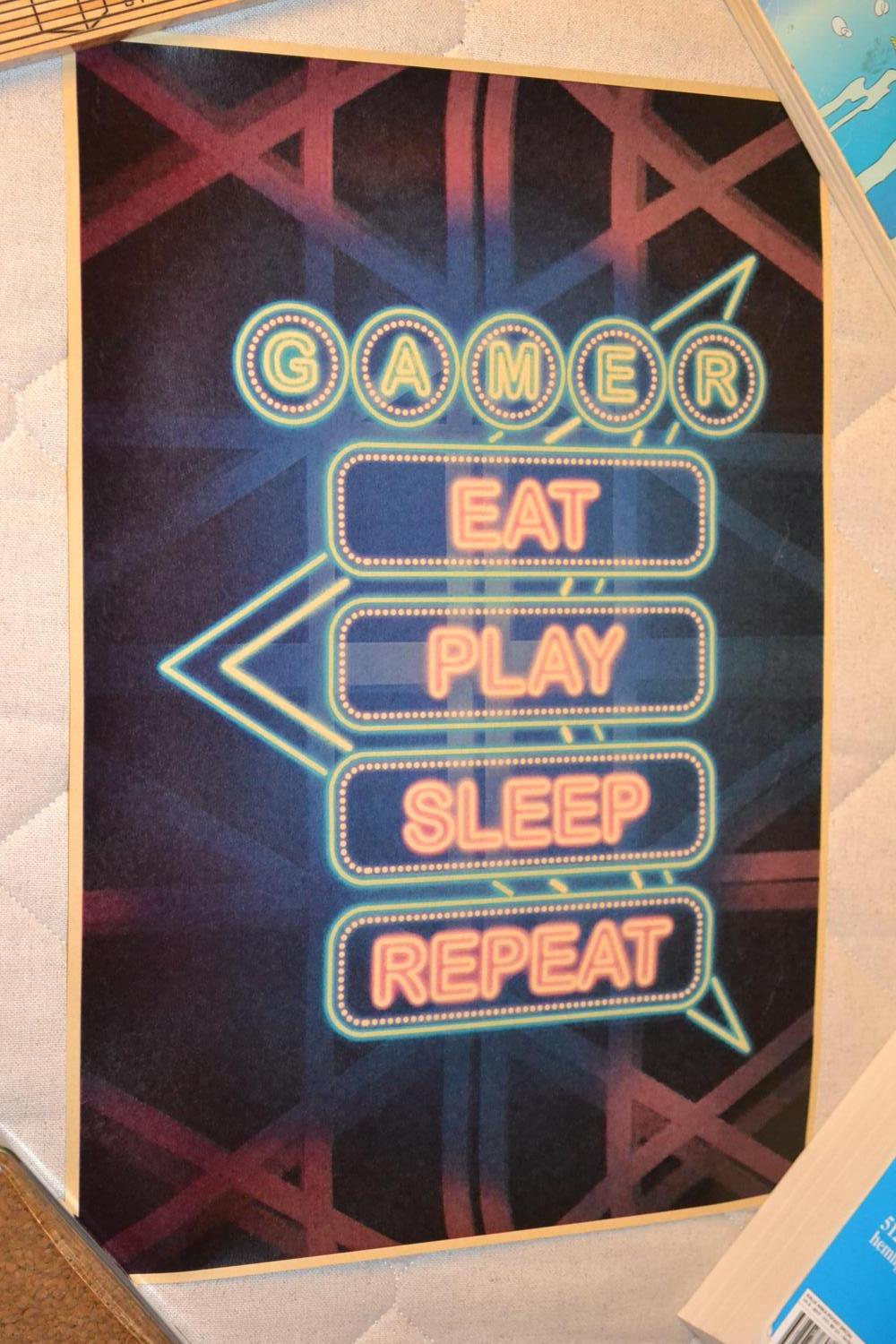 Gamer Eat Play Sleep Repeat Poster Affisch 42*30cm Ny