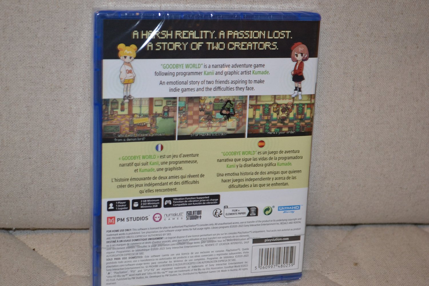 Goodbye World PS5 Playstation 5 Ny