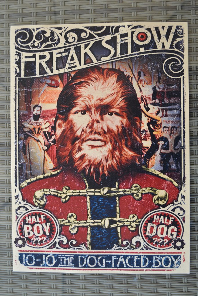Freakshow Dog-Faced Boy Cirkus Äldre Typ Poster Affisch 42*3